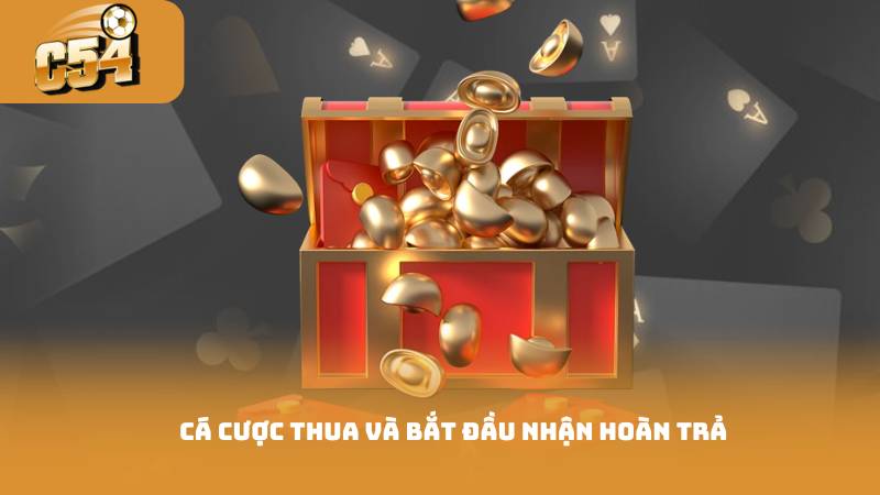 Khuyến Mãi Hoàn Trả - Chơi Game Nhận Hoàn Tiền Dễ Dàng 3 Cá cược thua và bắt đầu nhận hoàn trả